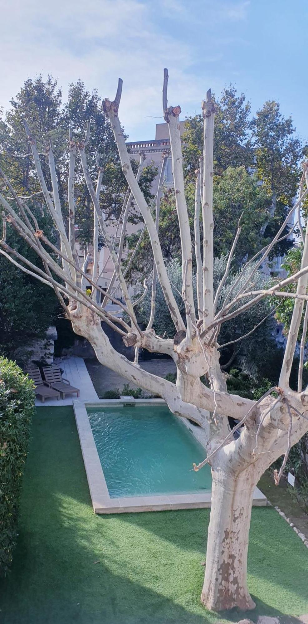 Maison D'Hotes La Bastide De Patou, Suite De 2 A 6 Personnes Marseille Kültér fotó